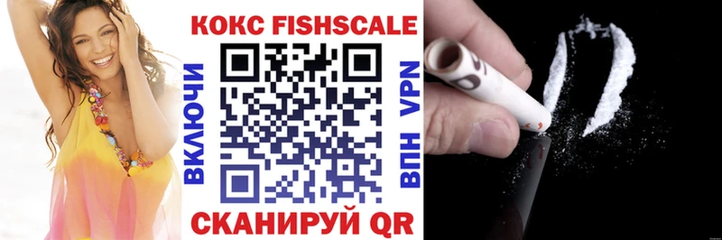 Купить закладки  Питкяранта  COCAIN Columbia 