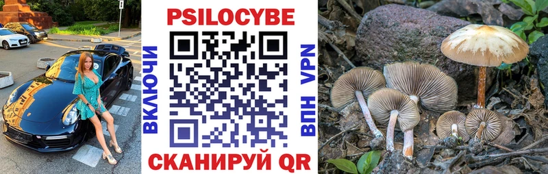 Купить  Питкяранта  Псилоцибиновые грибы мухоморы 